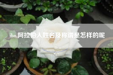 ibn,阿拉伯人姓名及称谓是怎样的呢