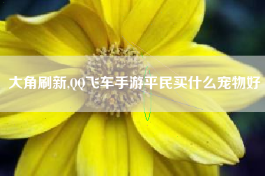 大角刷新,QQ飞车手游平民买什么宠物好