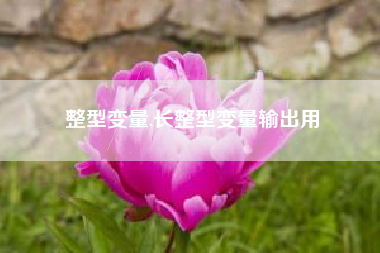 整型变量,长整型变量输出用