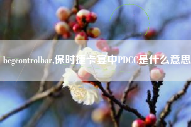 bcgcontrolbar,保时捷卡宴中PDCC是什么意思