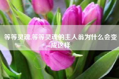 等等灵魂,等等灵魂的主人翁为什么会变成这样
