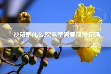 沙箱是什么,配电室需要放沙箱吗
