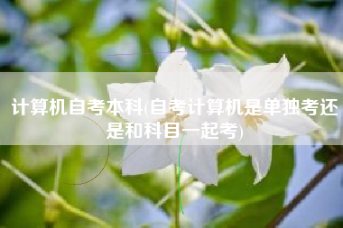 计算机自考本科(自考计算机是单独考还是和科目一起考)