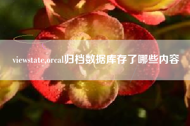 viewstate,orcal归档数据库存了哪些内容