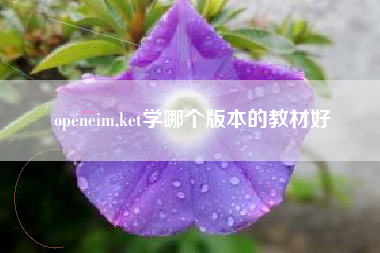 openeim,ket学哪个版本的教材好