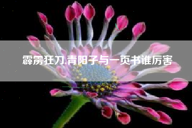 霹雳狂刀,青阳子与一页书谁厉害