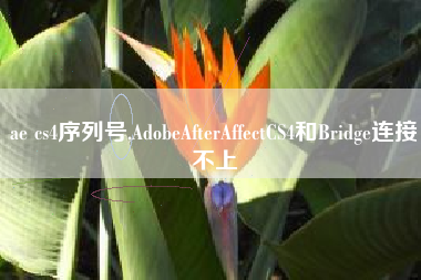 ae cs4序列号,AdobeAfterAffectCS4和Bridge连接不上