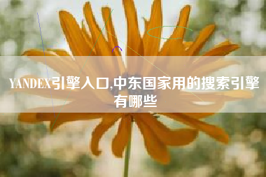 YANDEX引擎入口,中东国家用的搜索引擎有哪些