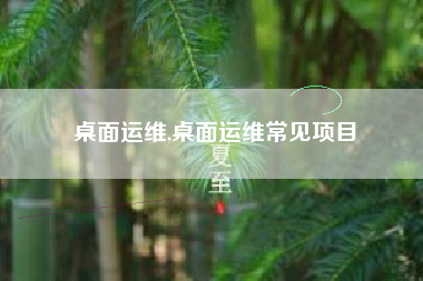 桌面运维,桌面运维常见项目