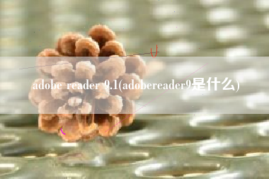 adobe reader 9.1(adobereader9是什么)