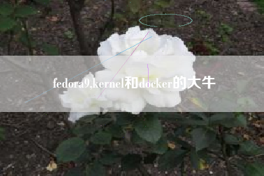 fedora9,kernel和docker的大牛