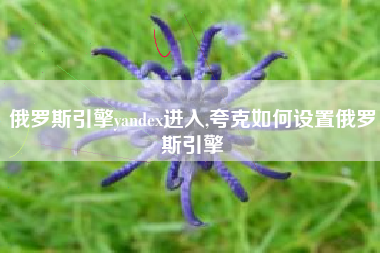 俄罗斯引擎yandex进入,夸克如何设置俄罗斯引擎