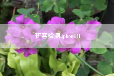扩容检测,iphone11