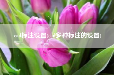 cad标注设置(cad多种标注的设置)