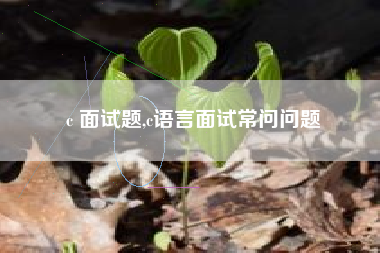 c 面试题,c语言面试常问问题