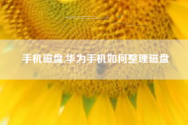 手机磁盘,华为手机如何整理磁盘