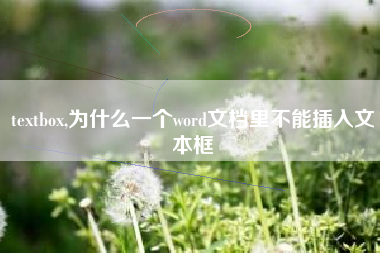 textbox,为什么一个word文档里不能插入文本框
