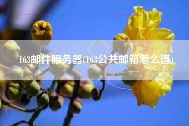 163邮件服务器(163公共邮箱怎么进)
