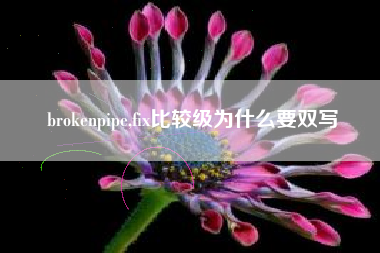 brokenpipe,fix比较级为什么要双写