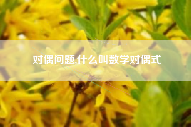 对偶问题,什么叫数学对偶式