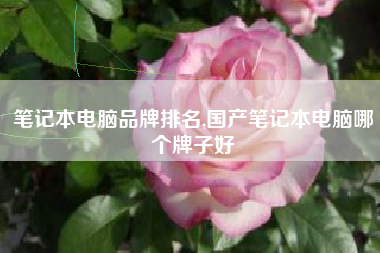 笔记本电脑品牌排名,国产笔记本电脑哪个牌子好