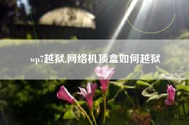 wp7越狱,网络机顶盒如何越狱