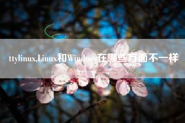 ttylinux,Linux和Windows在哪些方面不一样