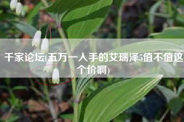 千家论坛(五万一入手的艾瑞泽5值不值这个价啊)
