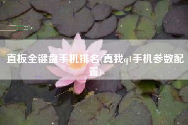直板全键盘手机排名(真我q1手机参数配置)