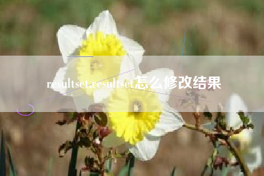 resultset,resultset怎么修改结果