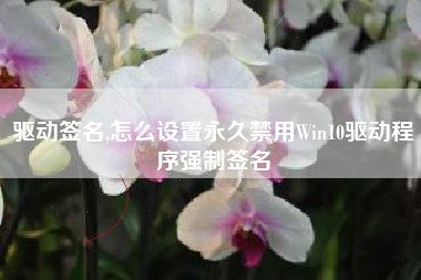 驱动签名,怎么设置永久禁用Win10驱动程序强制签名