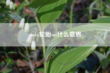 snis,轮胎sni什么意思