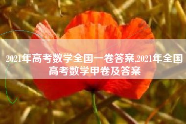 2021年高考数学全国一卷答案,2021年全国高考数学甲卷及答案