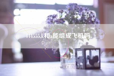 444555,k和a能组成飞机吗