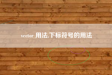 vector 用法,下标符号的用法