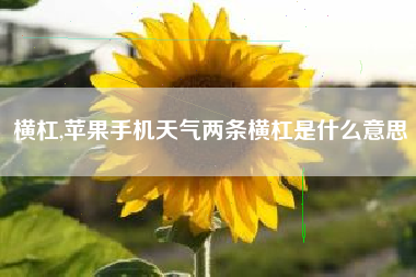横杠,苹果手机天气两条横杠是什么意思