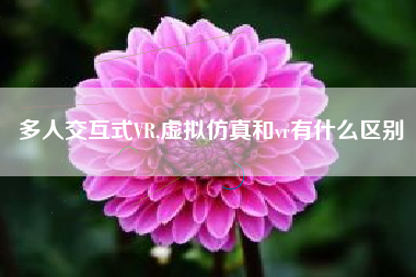 多人交互式VR,虚拟仿真和vr有什么区别