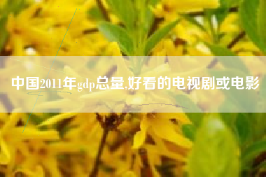 中国2011年gdp总量,好看的电视剧或电影