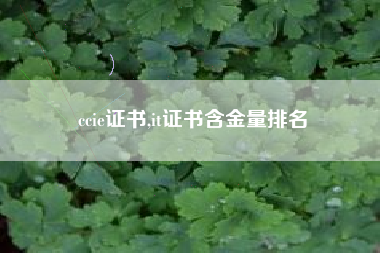 ccie证书,it证书含金量排名