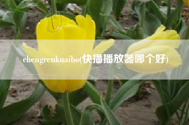 chengrenkuaibo(快播播放器哪个好)