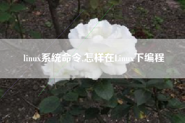 linux系统命令,怎样在Linux下编程