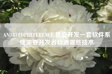 ANDROIDPREFERENCE,独立开发一套软件系统需要开发者精通哪些技术