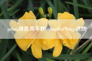 golang语言,而不教GolangRustNodejs这些