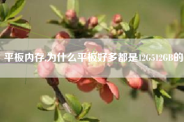 平板内存,为什么平板好多都是12G512GB的