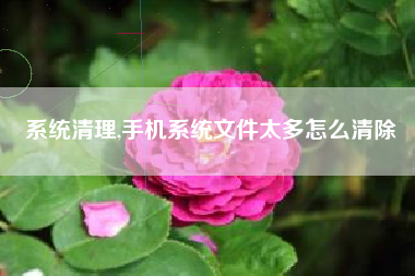 系统清理,手机系统文件太多怎么清除