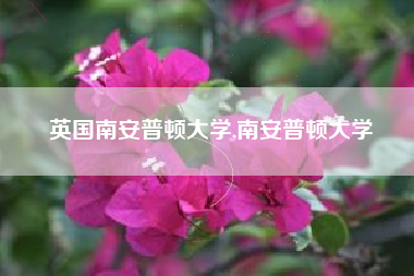 英国南安普顿大学,南安普顿大学