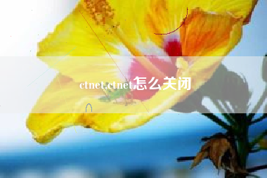 ctnet,ctnet怎么关闭