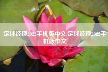 足球经理2022手机版中文,足球经理2022手机版中文