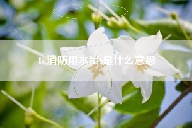 ls,消防用水量s是什么意思