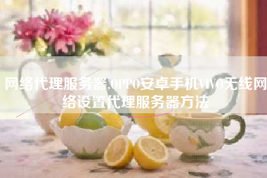 网络代理服务器,OPPO安卓手机VIVO无线网络设置代理服务器方法